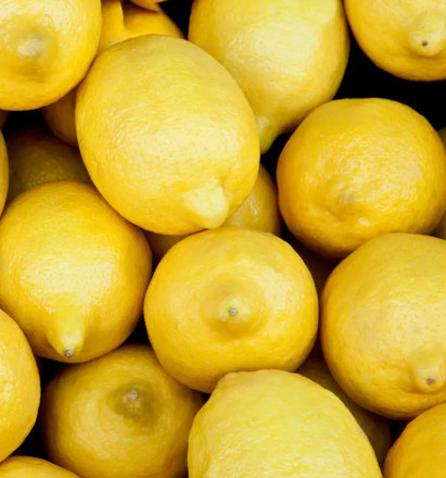 Parfum for Men Yodeyma Mint Ocean 15ml